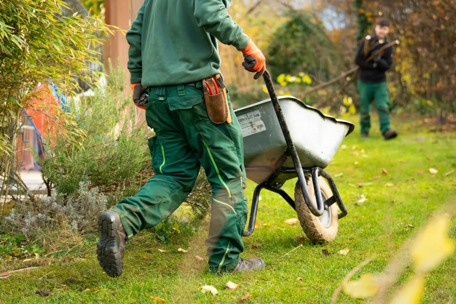 Yard cleanup with a wheelbarrow in autumn