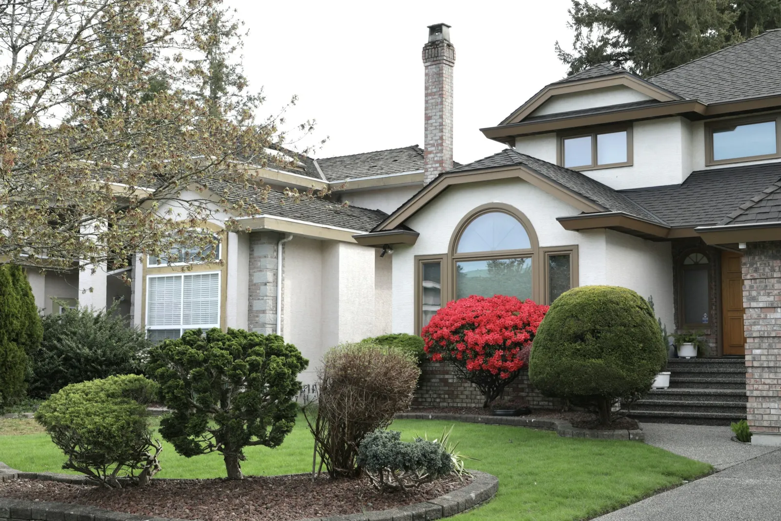 Front yard with trimmed shrubs and mulched beds