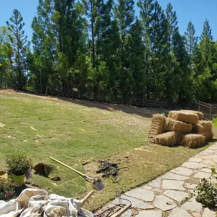 Fresh sod and pine straw installed by our crew