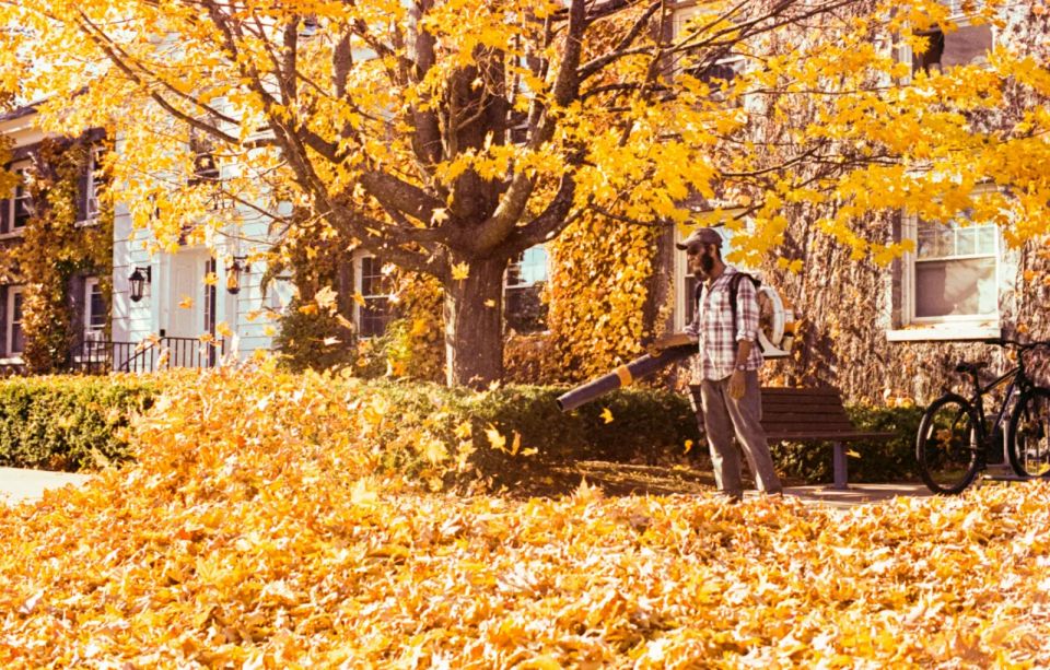Fall Leaf Cleanup in Birmingham: When, How Often and Why It Matters