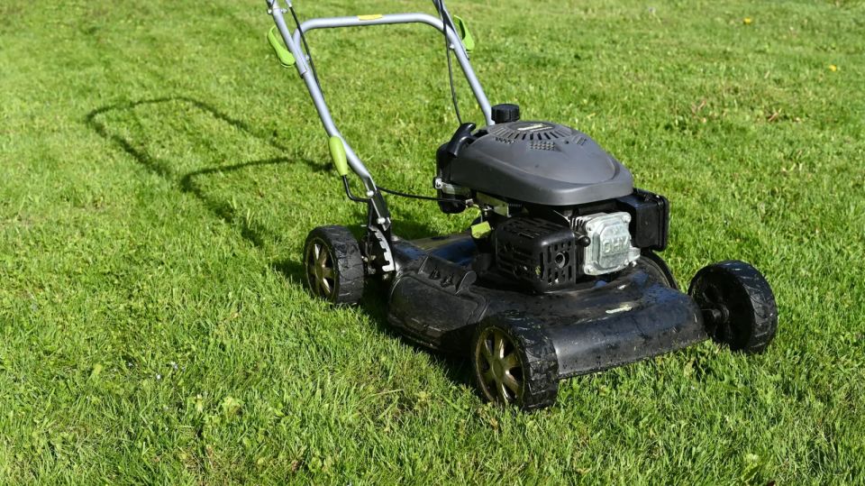 How High to Mow Bermuda, Zoysia, St. Augustine and Fescue in Alabama