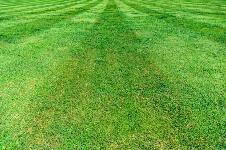 When to Mow in Birmingham: A Month-by-Month Lawn Calendar